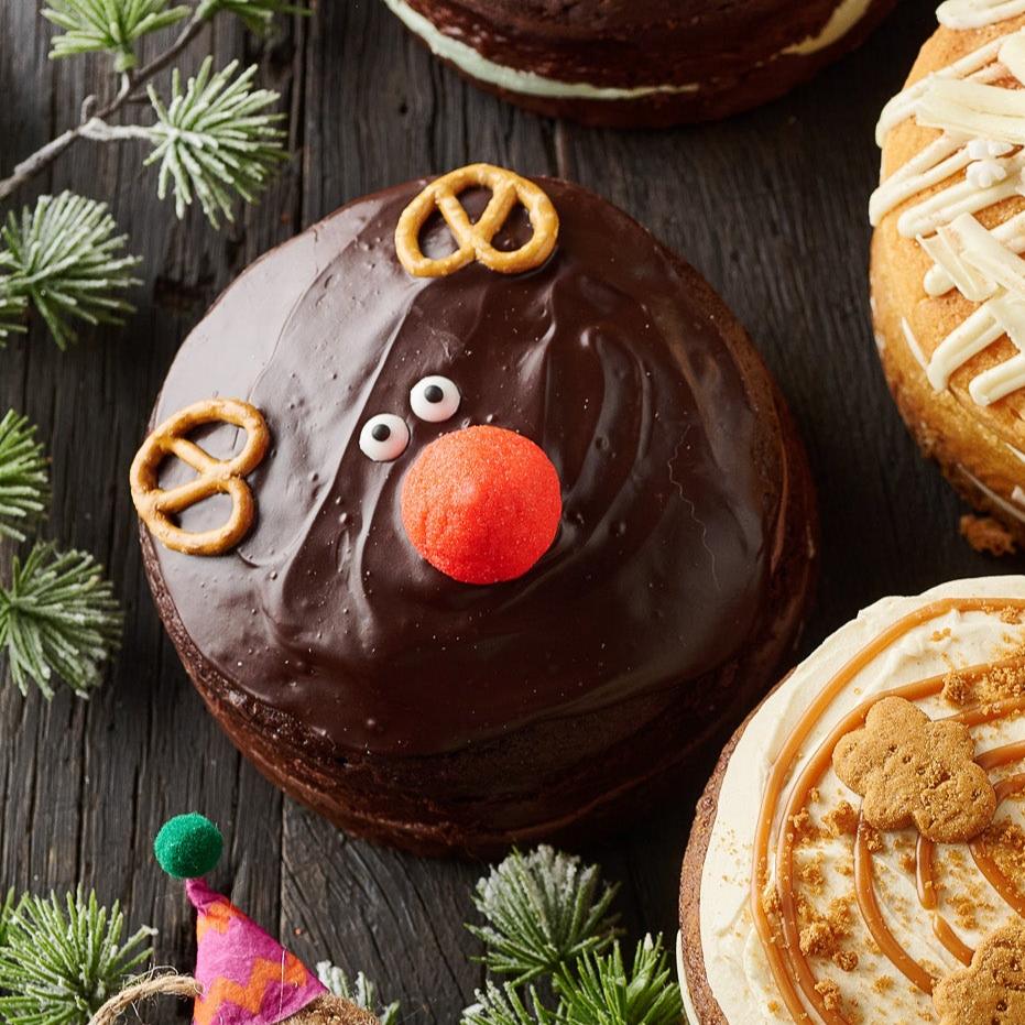 Festive Chocolate Rudolph Cake